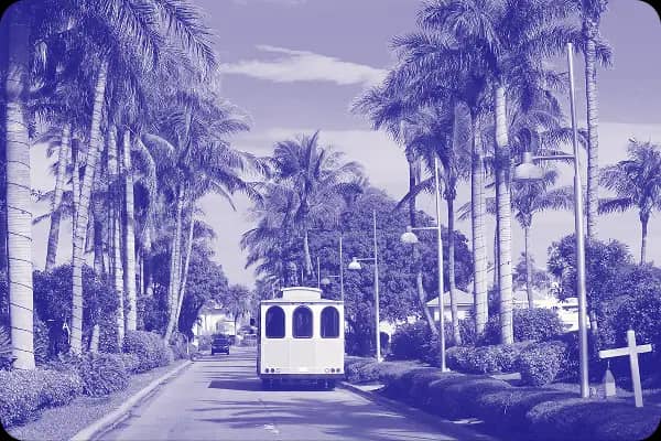 A road scene lined with tall palm trees, leading towards a clear sky, features a white tram or trolley moving away from the viewer. The image captures a serene residential area, with a few street lamps and signs visible along the road. The vibrant greenery contrasts with the blue-toned filter applied to the image.