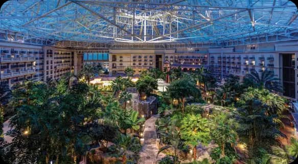 A vibrant pool area featuring palm trees and lounge chairs, with a large water slide and rocks creating a waterfall. The background showcases a hotel and a clear blue sky. Several umbrellas and seating areas are arranged around the pool, offering a tropical resort atmosphere.