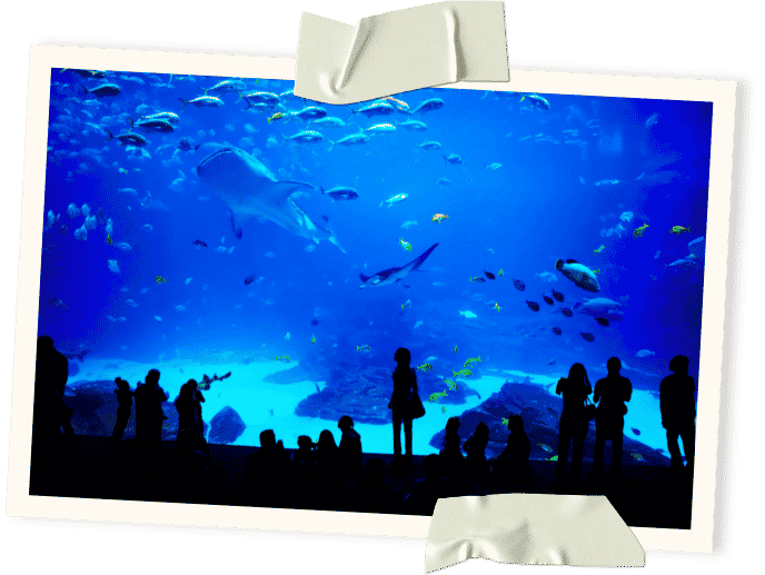 atlanta aquarium
